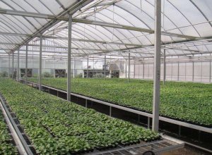 indoor agriculture HVAC